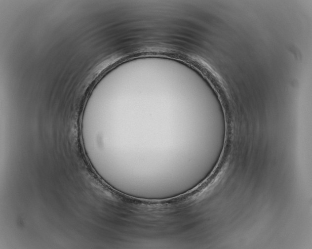 X0000113751025200909231001