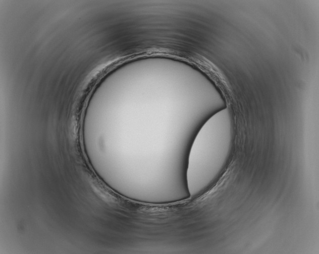 X0000113751027200909231001