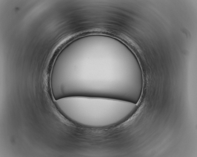 X0000113751029200909231001