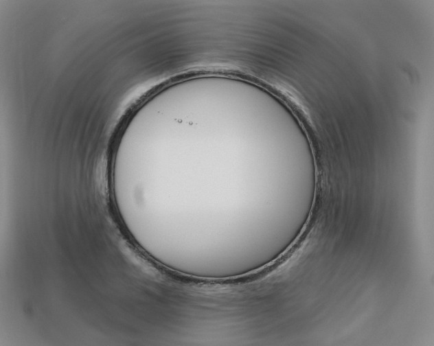 X0000113751030200909231001
