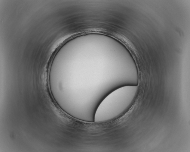 X0000113751031200909231001