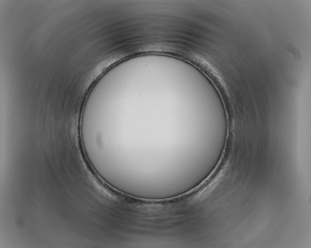 X0000113751033200909231001