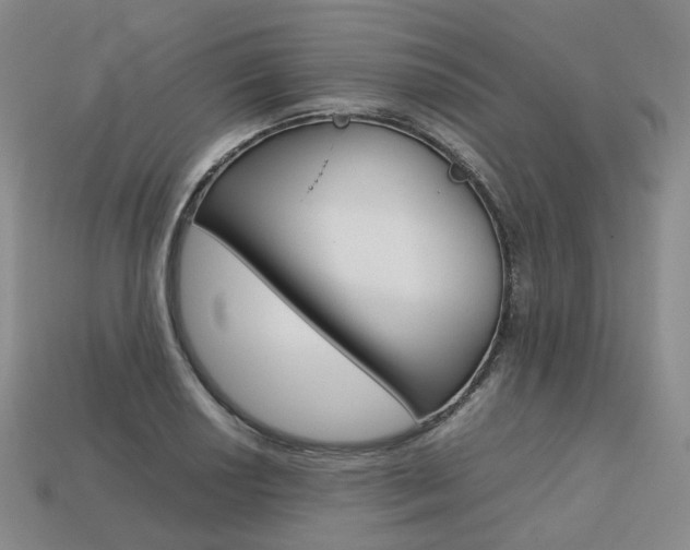 X0000113751034200909231001
