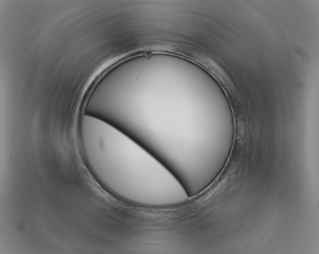 X0000113751036200909231001