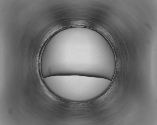 X0000113751039200909231002