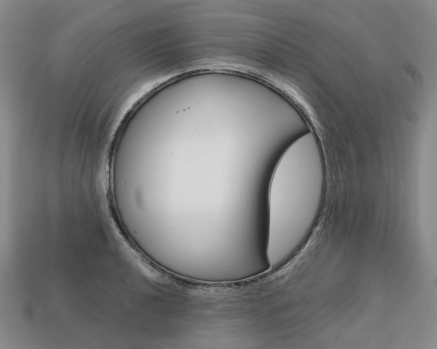 X0000113751040200909231002