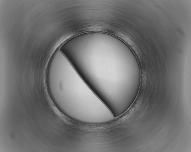 X0000113751042200909231002