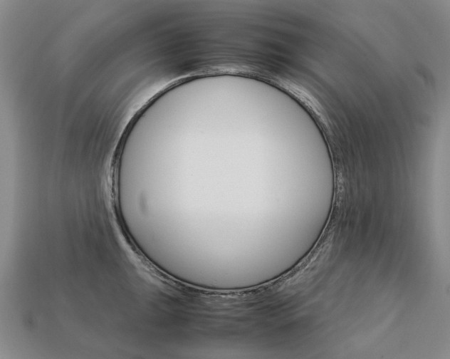 X0000113751047200909231002