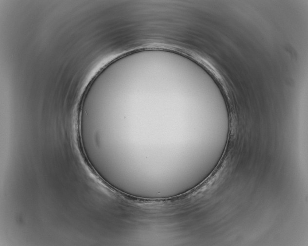 X0000113751048200909231002
