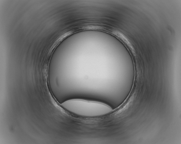 X0000113751049200909231002