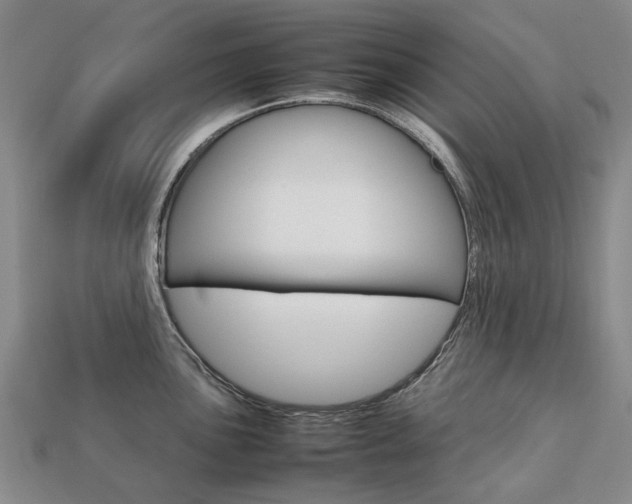 X0000113751051200909231002