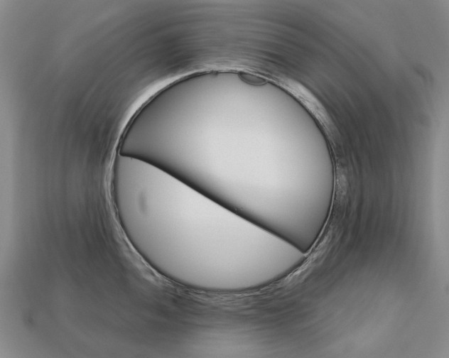 X0000113751052200909231002