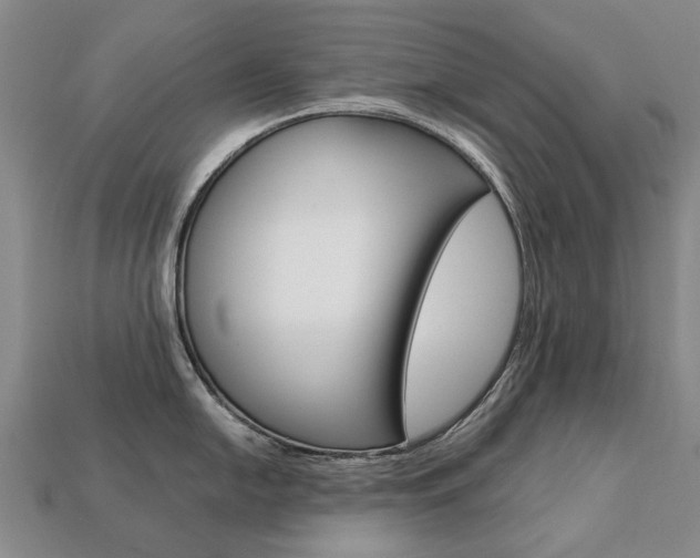 X0000113751054200909231002