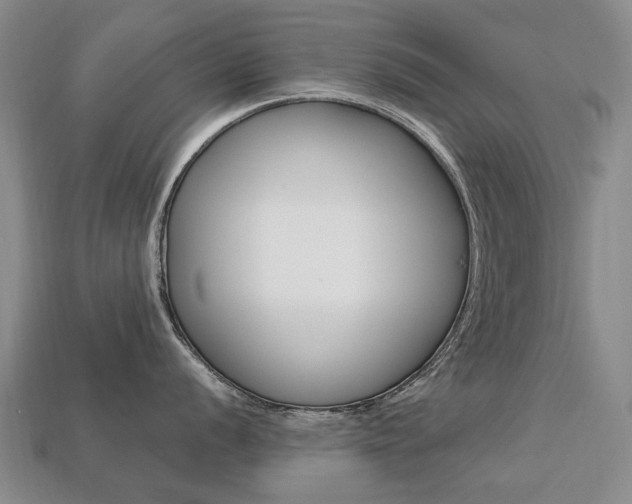 X0000113751056200909231002