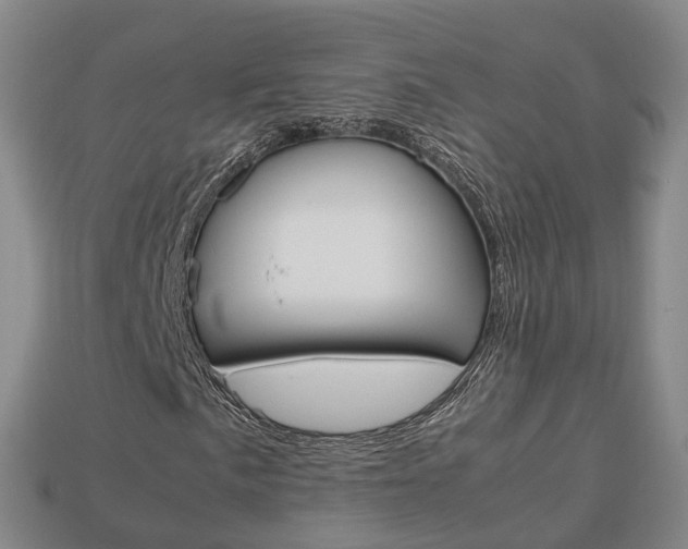 X0000113751057200909231001