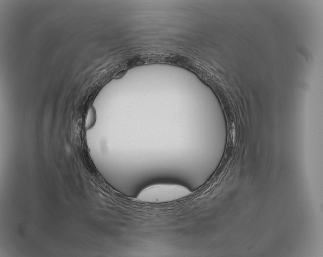 X0000113751059200909231001