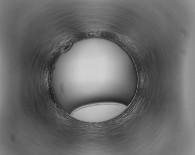 X0000113751060200909231001