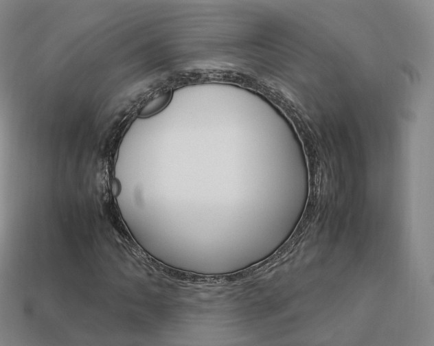 X0000113751062200909231001
