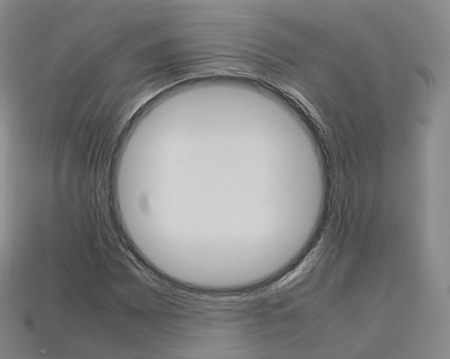 X0000113751065200909231001