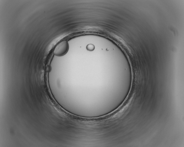 X0000113751066200909231001