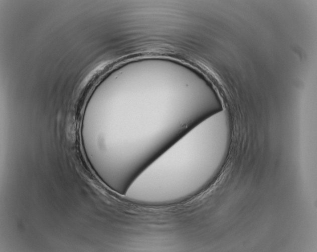 X0000113751067200909231001