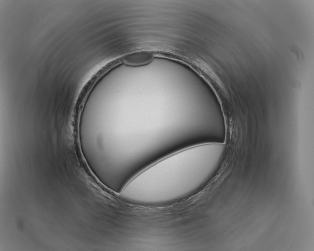 X0000113751068200909231001