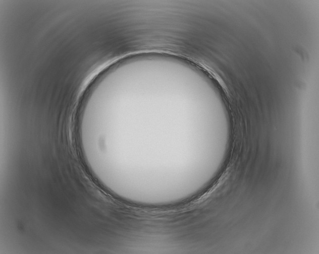 X0000113751069200909231001