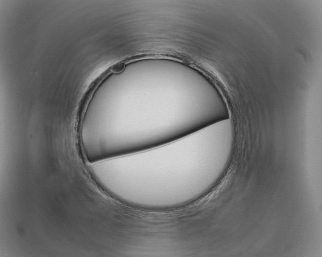 X0000113751071200909231001
