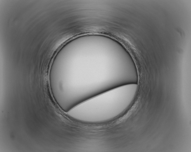 X0000113751073200909231001