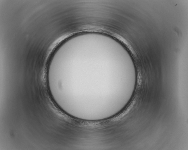 X0000113751074200909231001