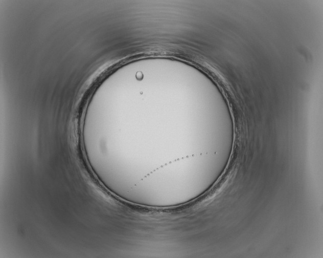 X0000113751075200909231001