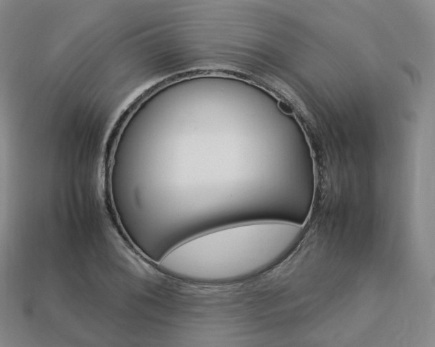 X0000113751076200909231001