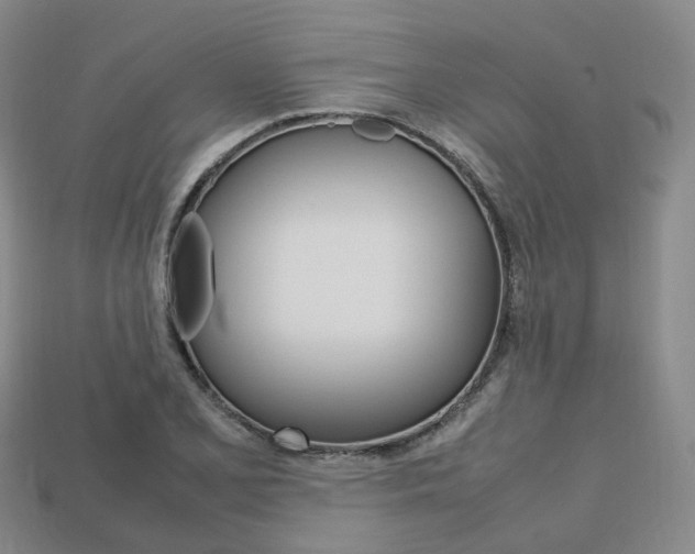 X0000113751077200909231001