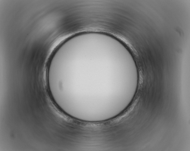 X0000113751078200909231001