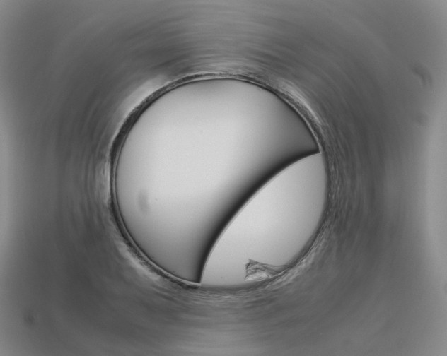 X0000113751079200909231001