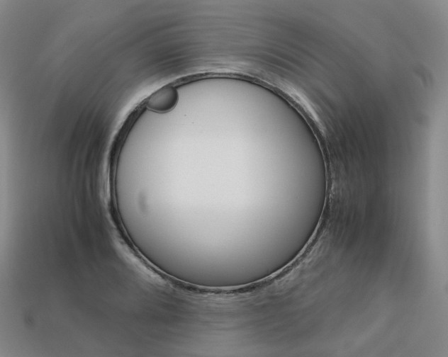 X0000113751080200909231001