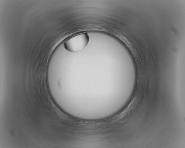 X0000113751081200909231001