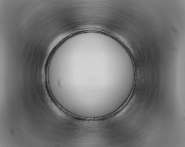 X0000113751082200909231001