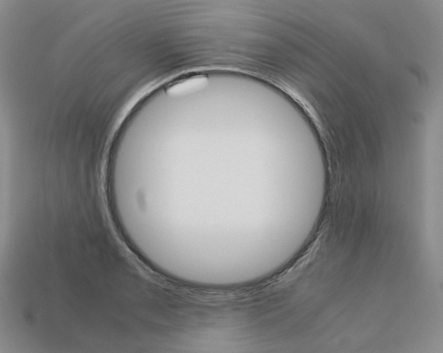 X0000113751085200909231001