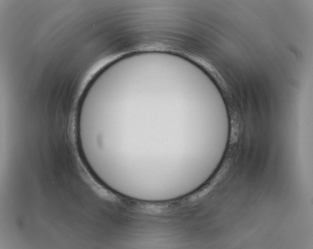 X0000113751086200909231001
