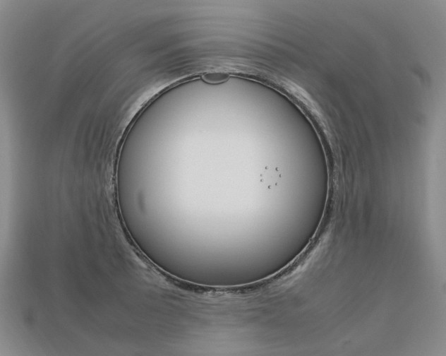 X0000113751089200909231001