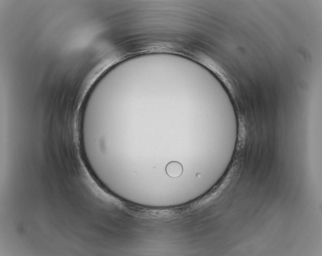 X0000113751090200909231001