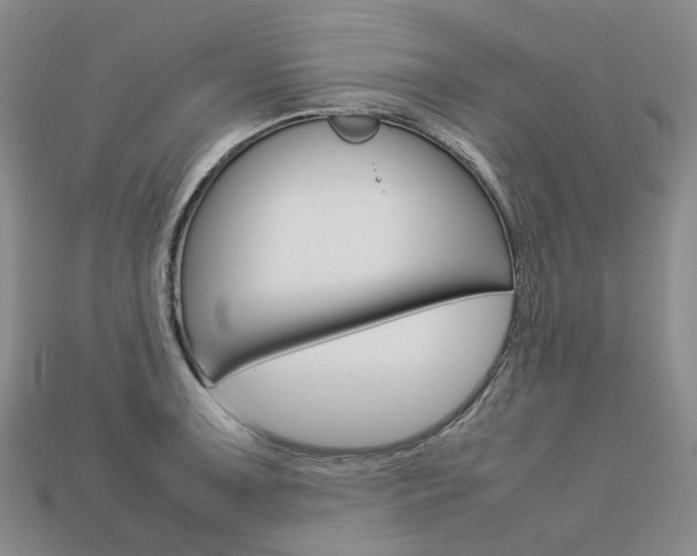 X0000113751091200909231001