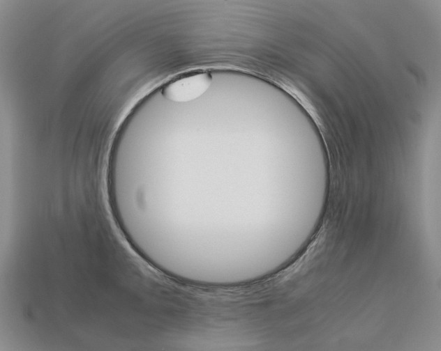 X0000113751093200909231001