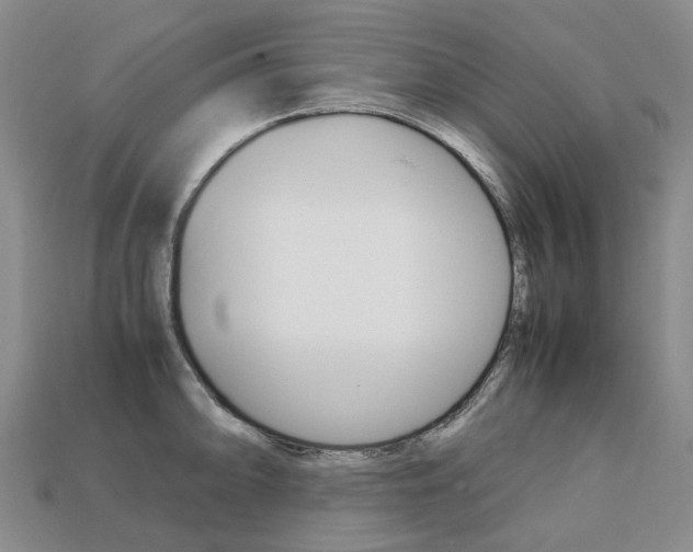 X0000113751094200909231001