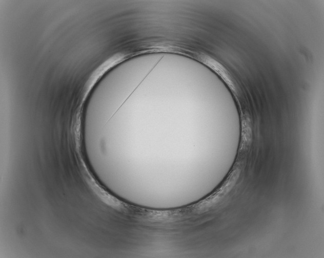 X0000113751098200909231001
