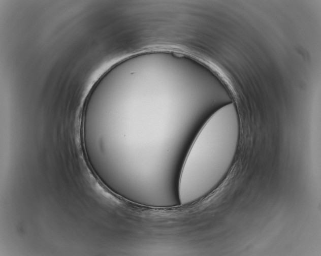 X0000113751102200909231001