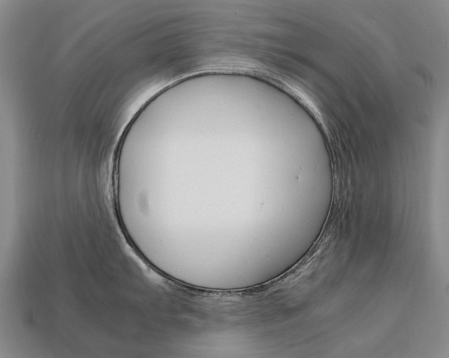 X0000113751103200909231001