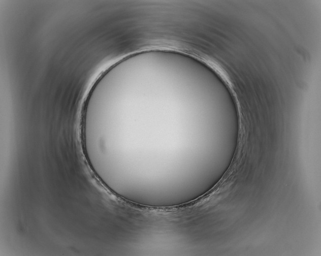 X0000113751104200909231001