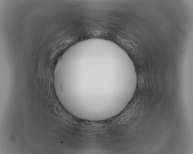 X0000113751105200909231000